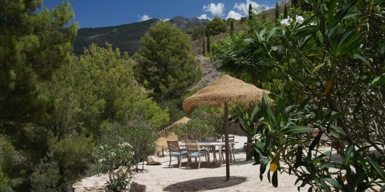Boutique B&B El Refugio Alcaucín Kültér fotó
