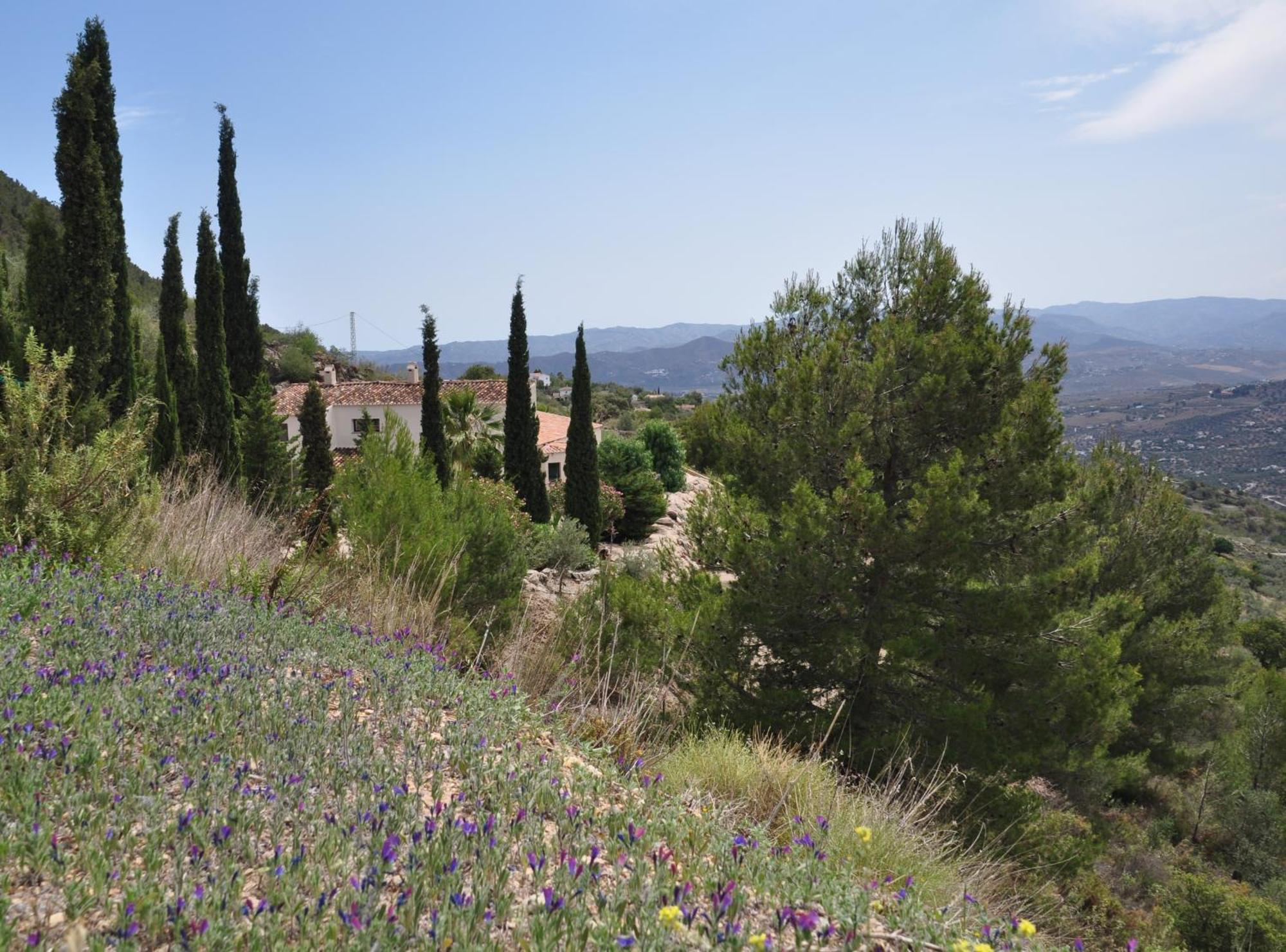 Boutique B&B El Refugio Alcaucín Kültér fotó